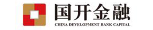 國開金融